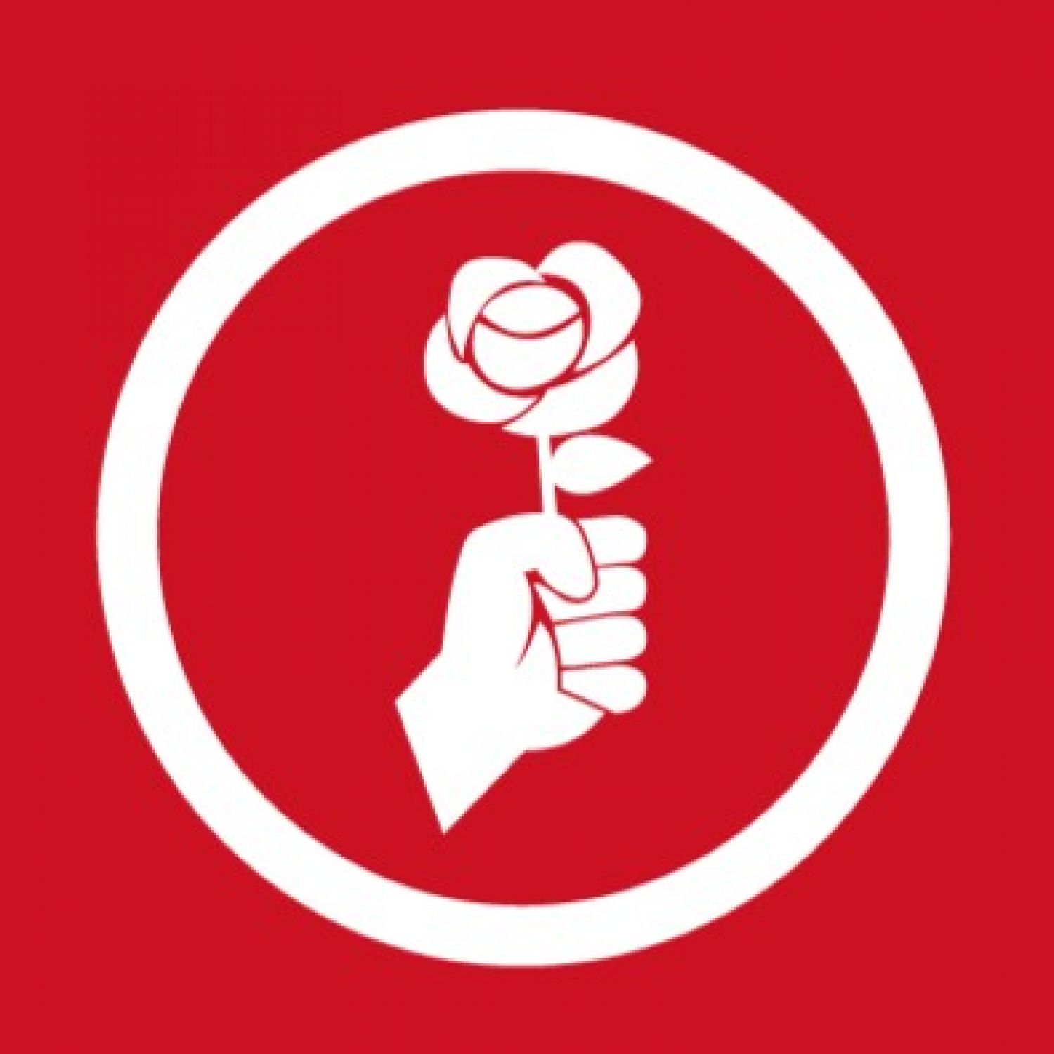 Formation 'Pourquoi sommes-nous socialistes (PSNS 1)' 