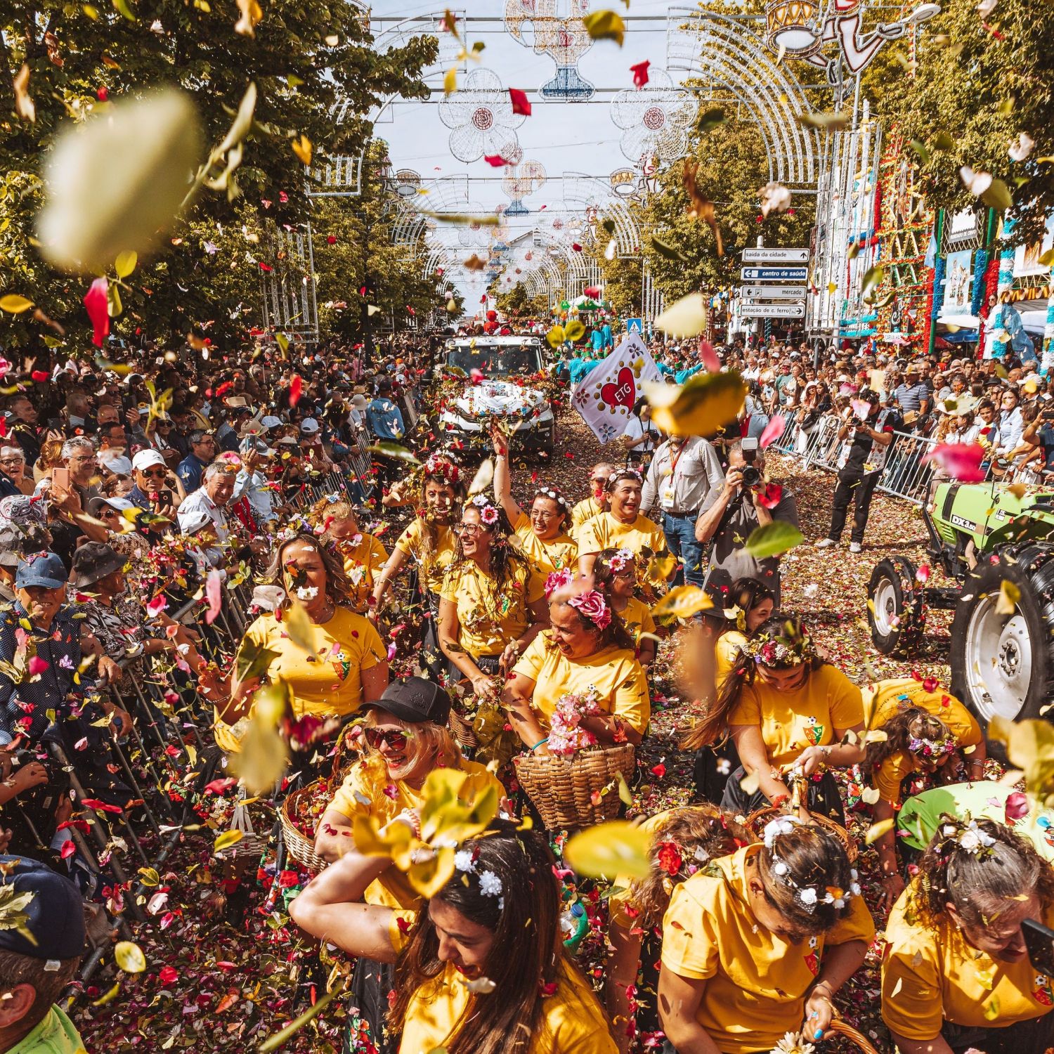 Fête des vendanges !